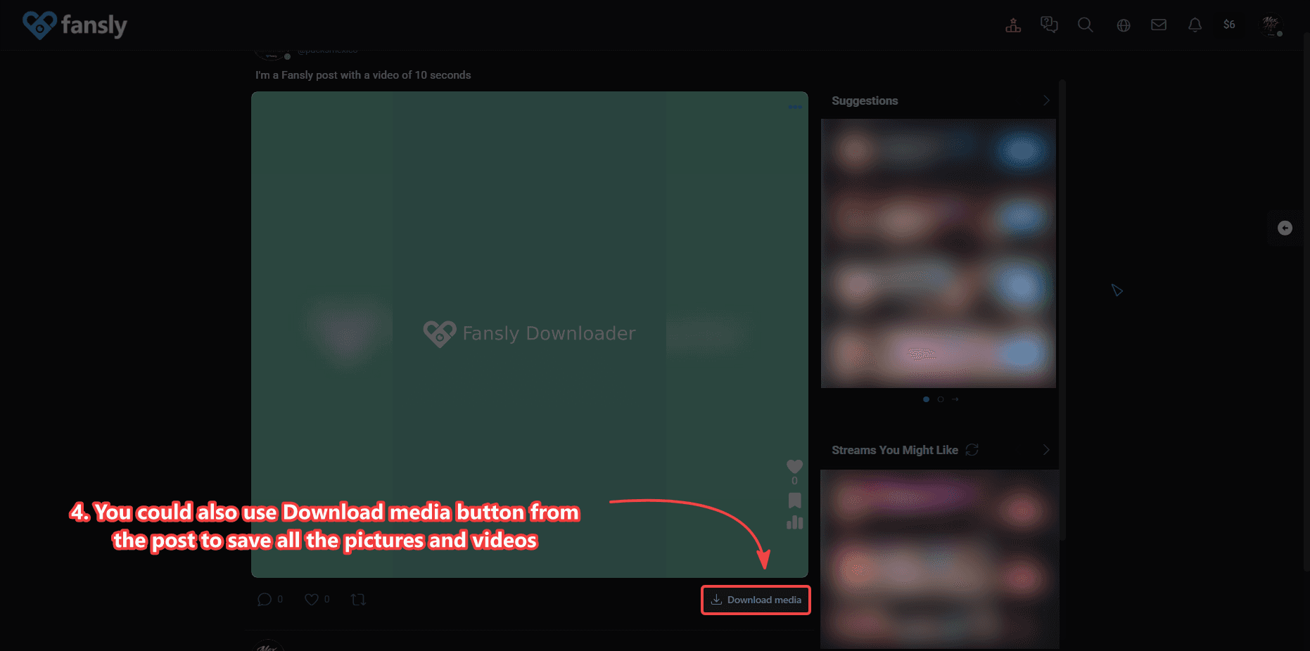 Download media button on a Fansly post with video