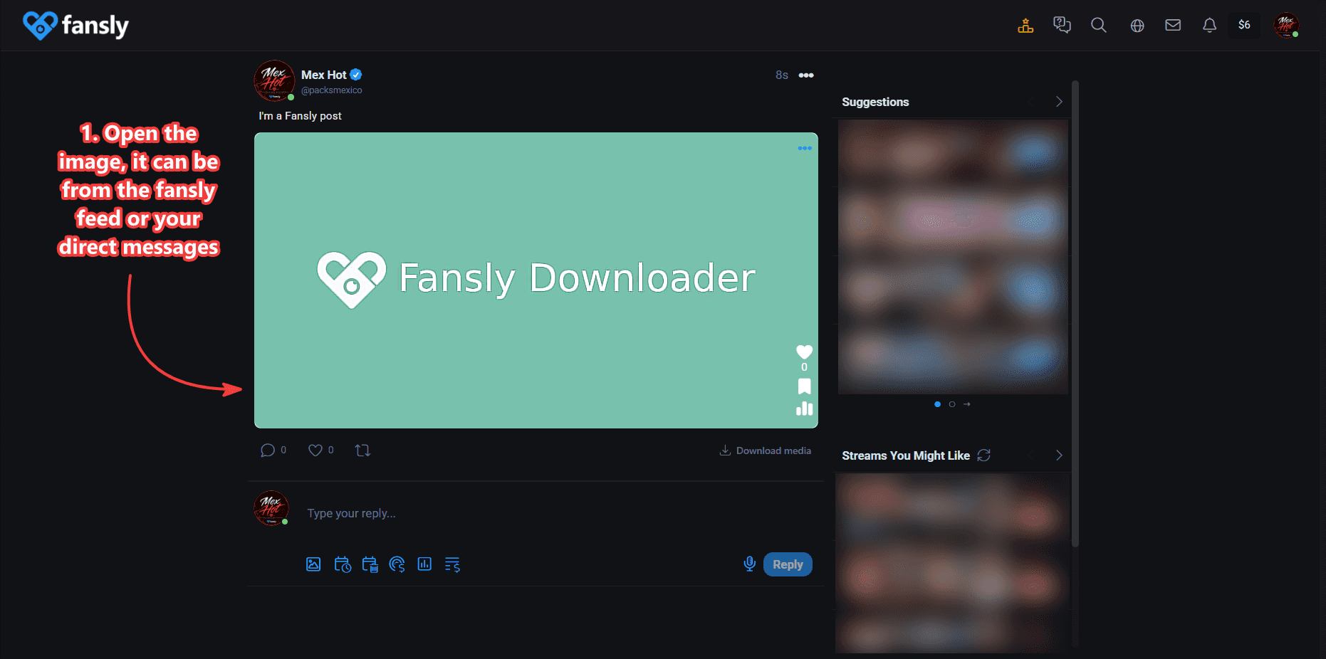 An opened photo on Fansly ready to download