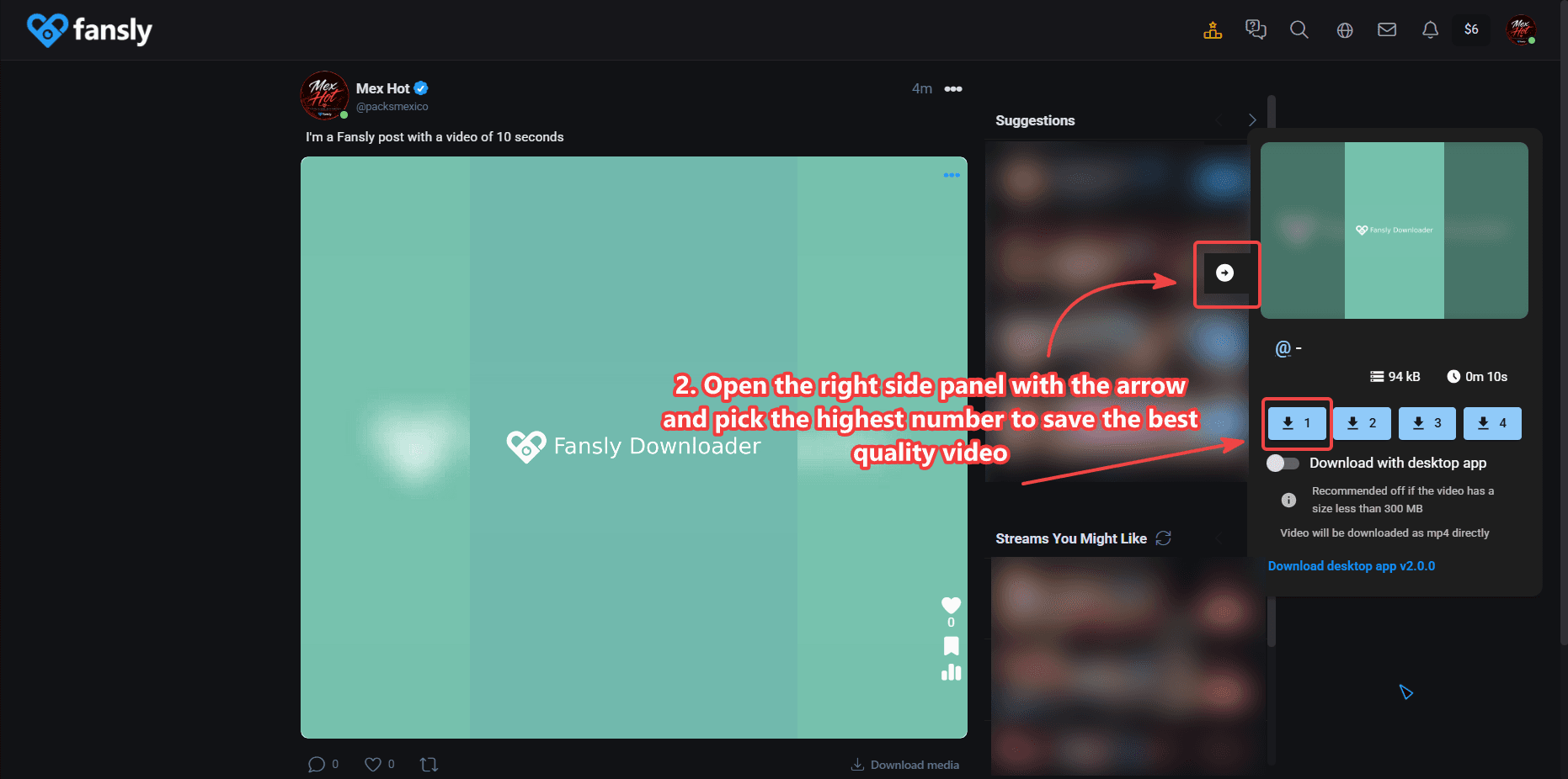 Fansly Downloader video quality selection panel
