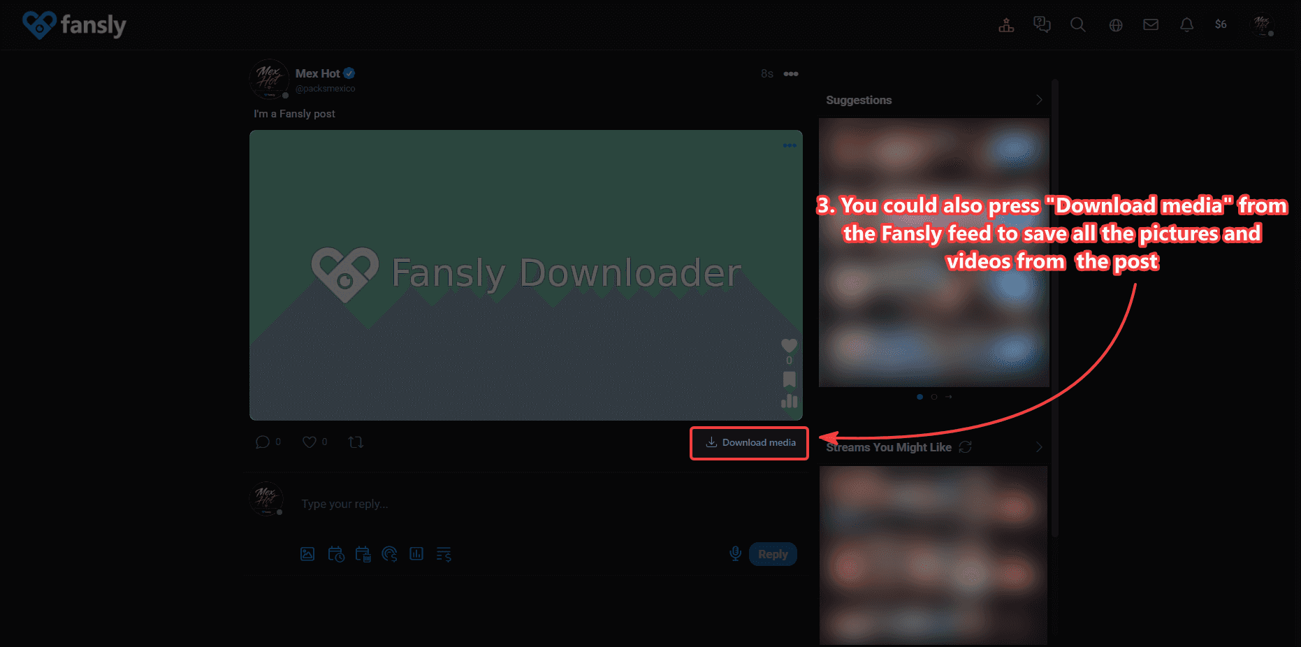 Download media button on a Fansly feed post