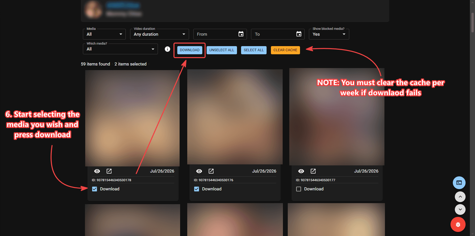 Fansly Downloader bulk download interface with media selected