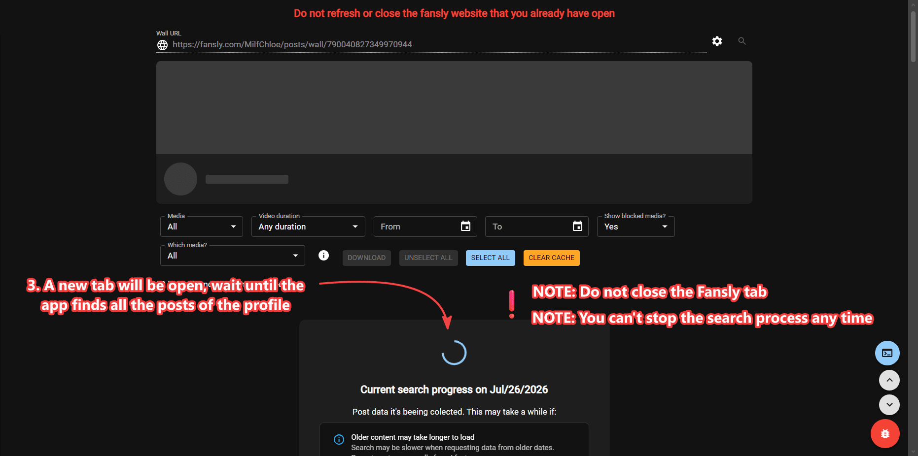 Bulk download interface loading posts from a profile